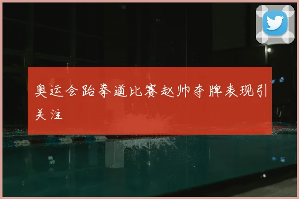 奥运会跆拳道比赛赵帅夺牌表现引关注
